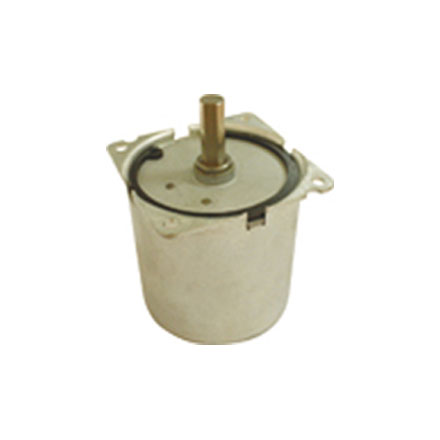 60SM60 Sunchronous Motor